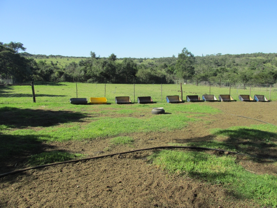 Commercial Property for Sale in Macleantown Eastern Cape